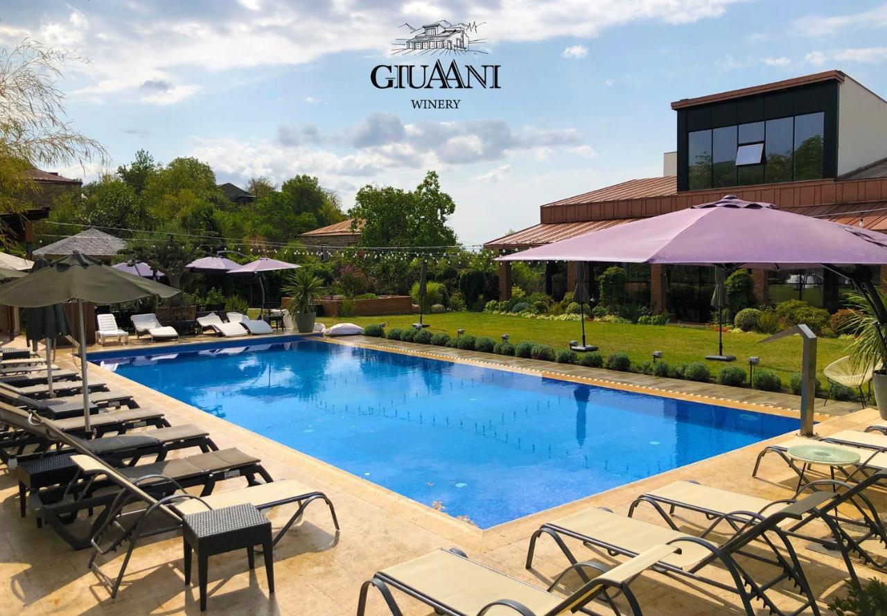 Giuaani Winery Hotel Manavi Ngoại thất bức ảnh